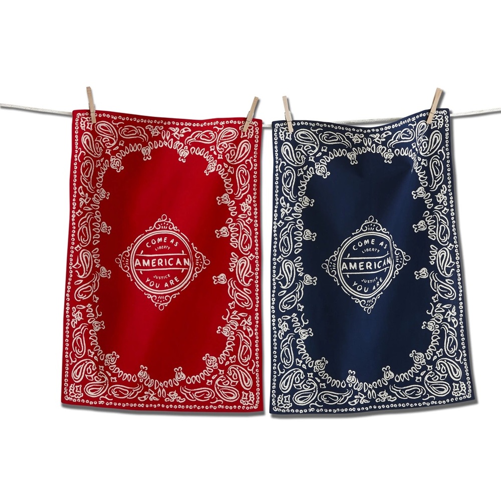 America 🇺🇸 Dishtowel set of 2